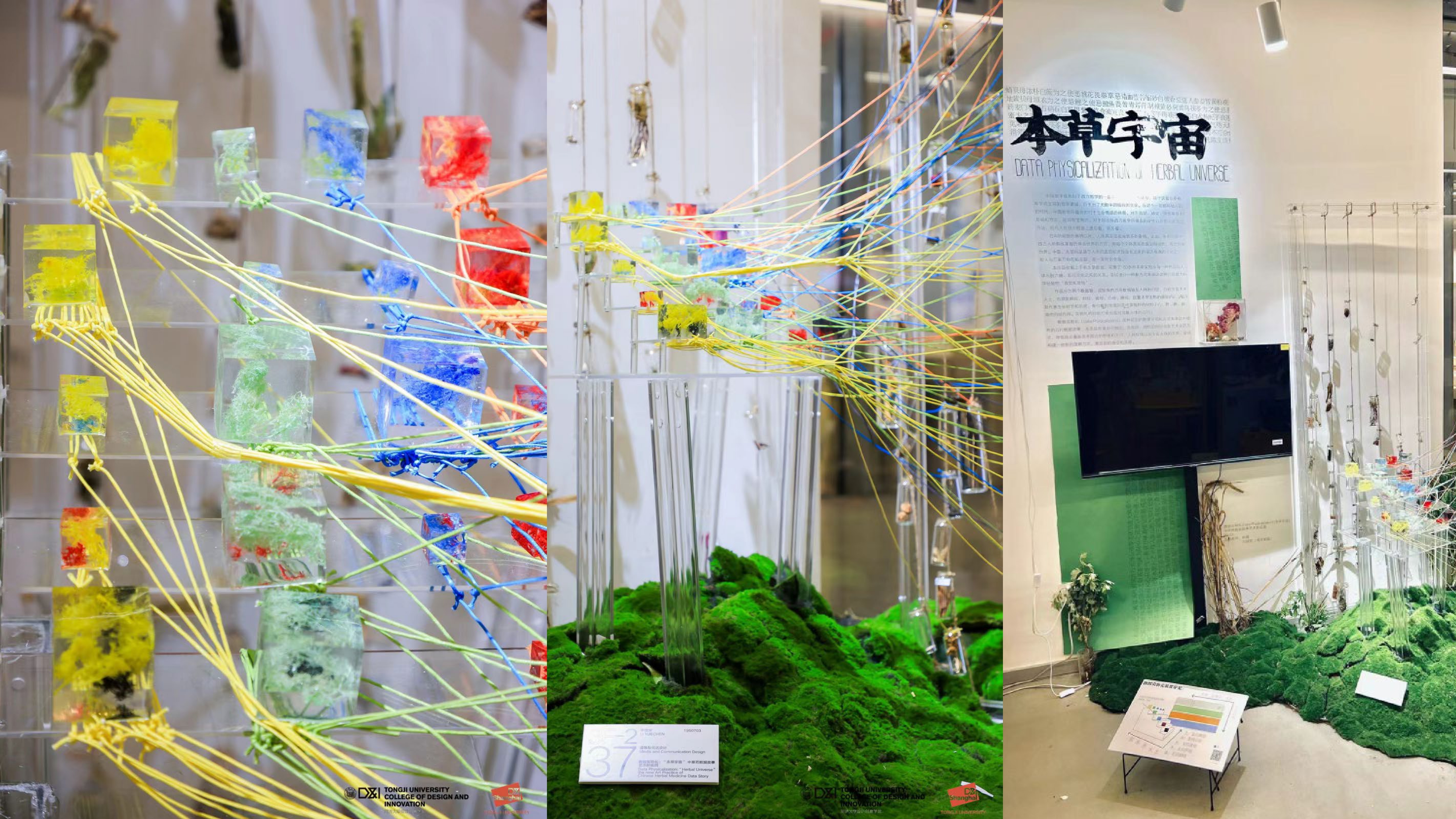 Herbal Universe Page 23